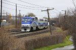AMTL 1323